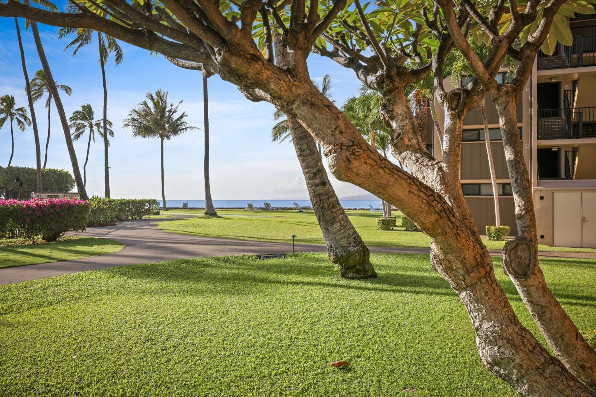 Aston At Papakea Resort Lahaina Buitenkant foto